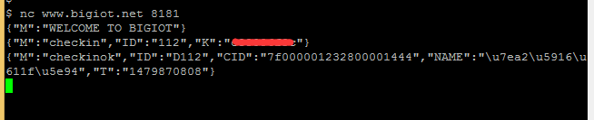 netcat_bigiot.png