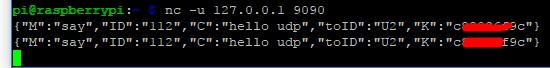 udp.jpg