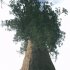 植物生長環境參數監測